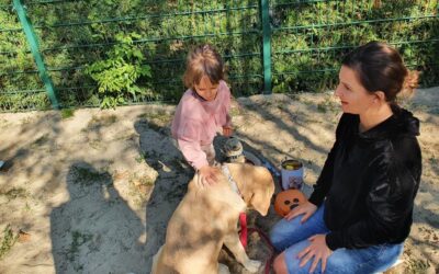 Gumisie i Pszczółki na dogoterapii