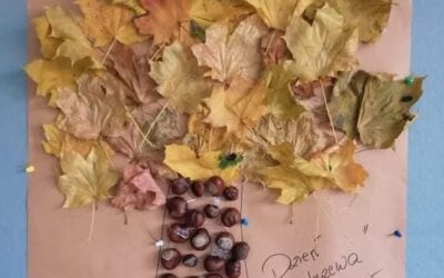 Z darami natury świat nie jest ponury