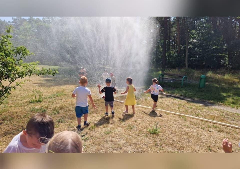 Wizyta straży pożarnej